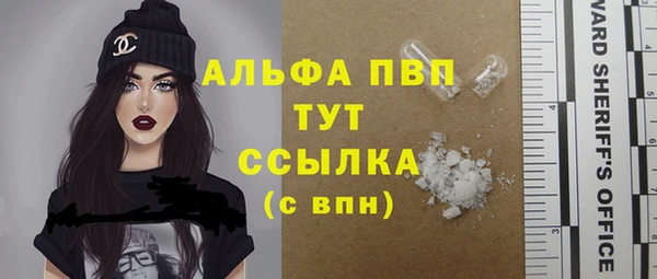 стаф Алагир