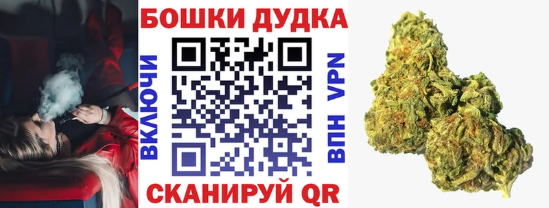 Канабис AK-47  Западная Двина 